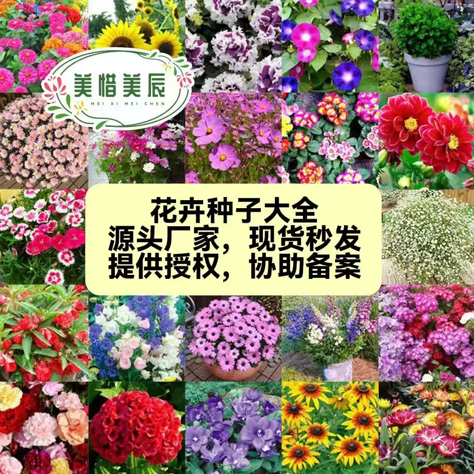 源头厂家批发各种花种特菜种子瓜果香药草四季盆栽阳台庭院籽大全