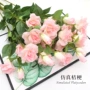 摄影家居客厅婚礼假花