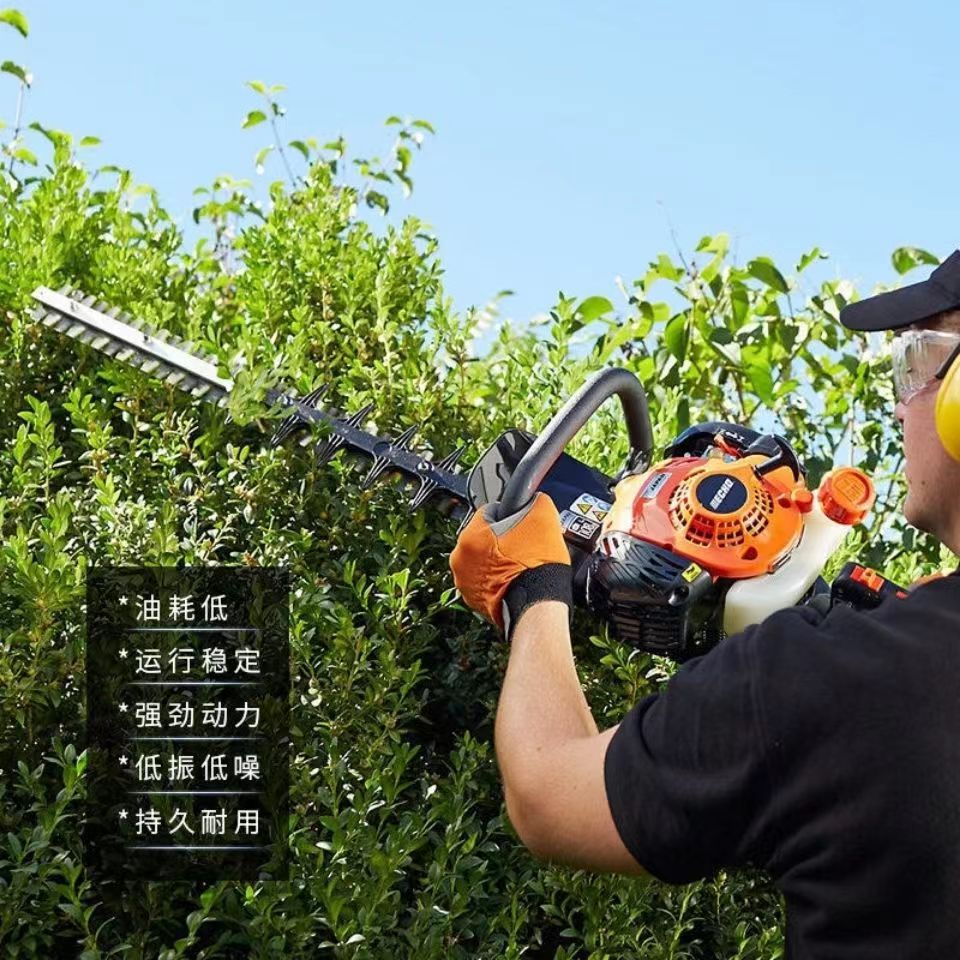 微信图片_20240410143808
