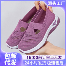 Ь��ŮЬ�w��͸��W��Ьһ�_�ŋ���Ь�����p�����eЬ���m�ٴ��U��