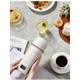 True rice electric heating cup small mini portable kettle office travel heating insulation electric heating water cup wholesale