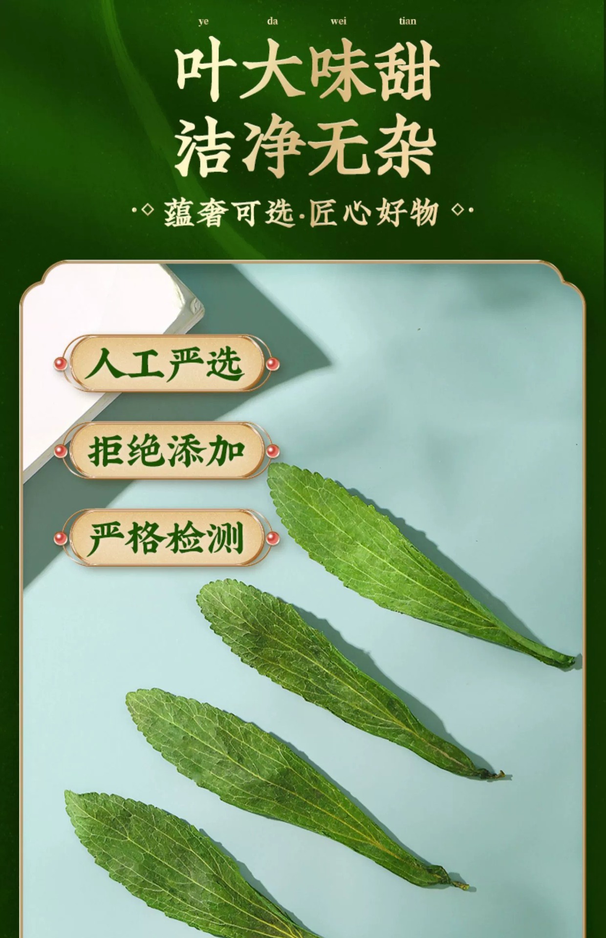 Dried Stevia Leaf Sweet Leaf Herbal Tea 10g Natural Sugar Free Cold Brew key features