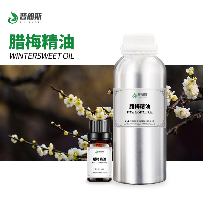 厂家直供腊梅精油现货 黄梅花油植物单方精油化妆日化原料供应