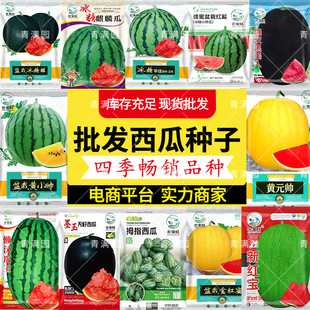 ���l���Է��ۼtȿС���ϷN�ӱ��Ǽt�ı�ƤС���������̨�ˈ@�N��