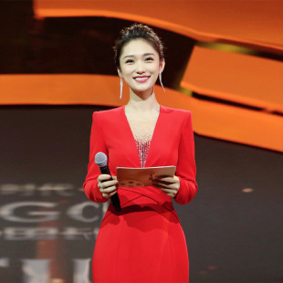 Long-Sleeved Evening Dress for Women 2025 New Banquet Elegant Red Dignified and Atmospheric Annual Meeting Host Dress