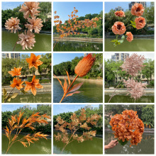 �¿��ɫϵ��c���� ��Y�ÿ���ɫ�����b� ĵ������ٻ����l