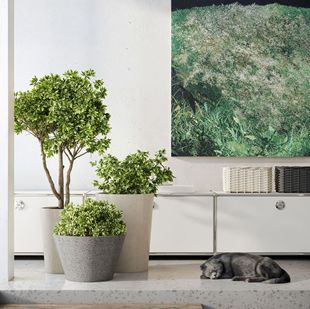 �A������V�໨���ڏ�ˮ�໨���k�����̈��Ƶꌣ�û���