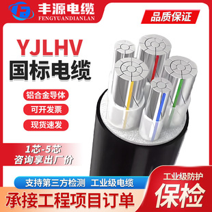 ������|YJLHV�X�Ͻ�3+1о0.6-1KV��ɟo�z�b��ȼ����늾���|