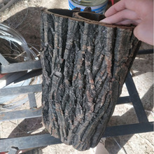 ��Ȼ����Ƥ������ˮ���b��ړ���ů��ܵ��b�Ʒ���� ��Ƥ�b�