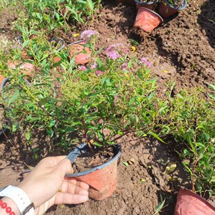 �����ջ���  �ۻ������� ���潑���� ���~������ ���~������ Ҏ��