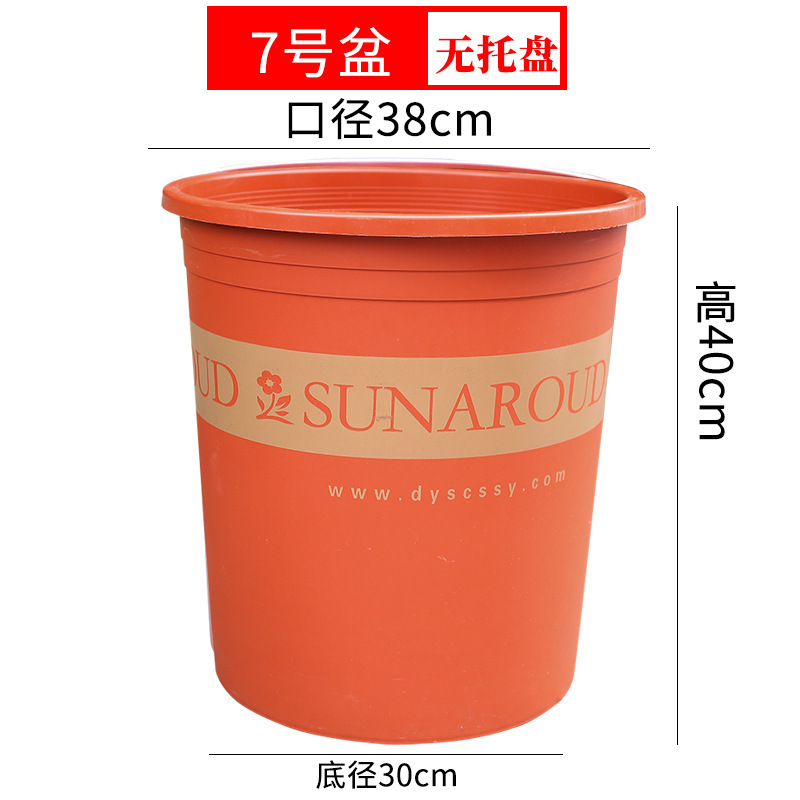 特大サイズの厚いガロン鉢青山プラスチック鉢に木を植えます。|undefined