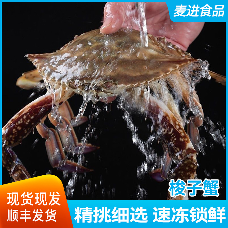 梭子蟹活冻蟹梭子蟹鲜活速冻海蟹青蟹一件代发家用批货大螃蟹