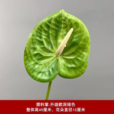 팜-그린 업그레이드