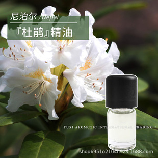 �Ჴ���a���׻����N�o�~���s��ȡ���������1ml�η����N����