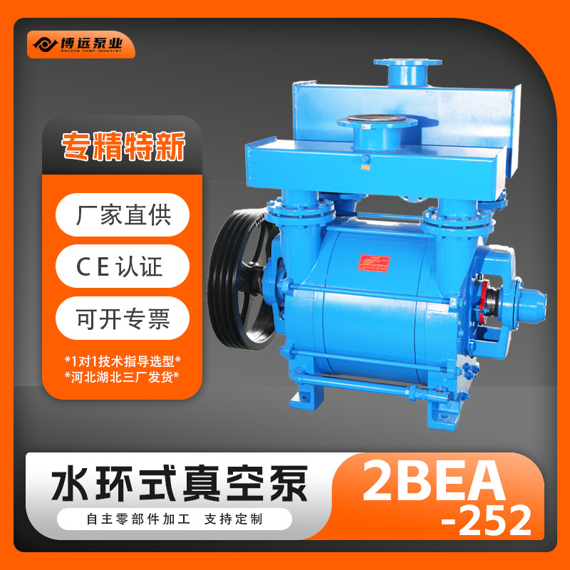 冀真2BE252水环真空泵防腐工业气体输送泵负压博远泵业真空强劲