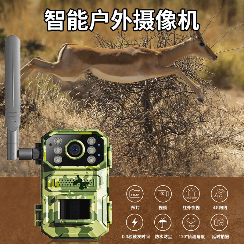 Nueva Cámara animal infrarroja transfronteriza 4 millones de cámaras de detección de campo remoto Cámara HD 4G Monitor