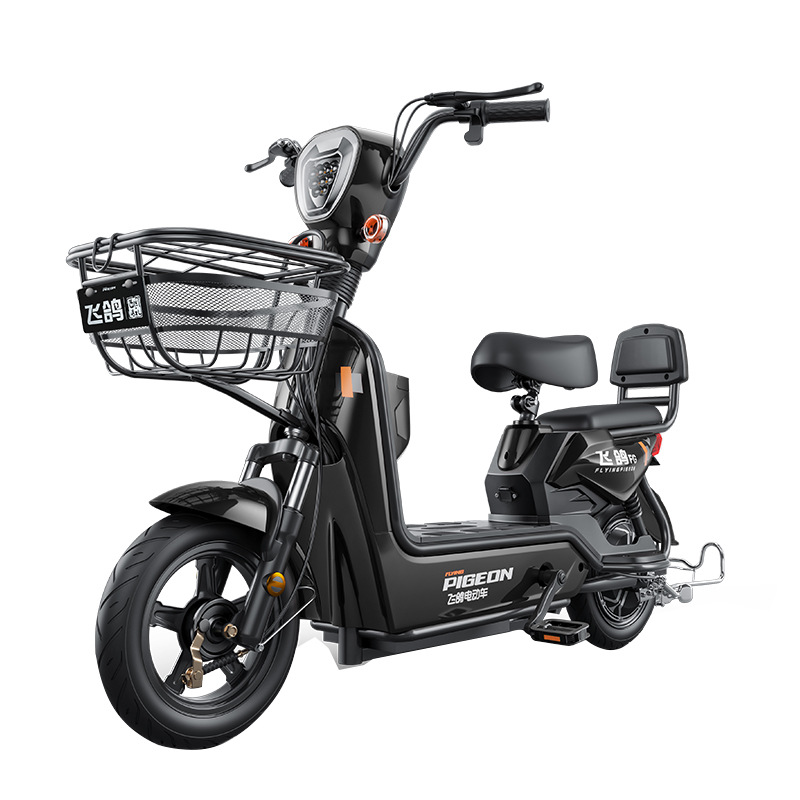 Flying Pigeon Golden Eagle coche eléctrico 48V batería de litio coche scooter nuevo estándar nacional bicicleta eléctrica