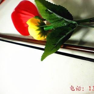 ����������� �������ƹ������l ��ɫ������������������