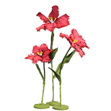 �����㼈���̈�����b��滨�����¿ˇ�����ͻ�c�쾰����