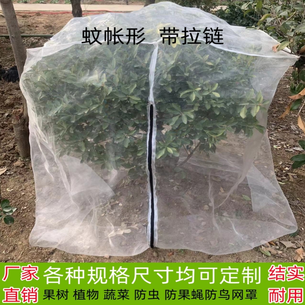 Babyberry mesh cover wax blueberry mesh fruit tree insect prevention net bird prevention net cherry mesh curtain mosquito net vegetable thickened 40