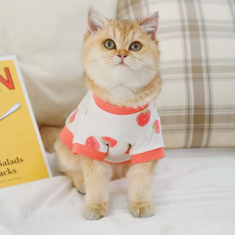 Ropa de gato anti-pelusa marioneta verano mascota gatito corto británico primavera y otoño pijamas gato Delgado verano