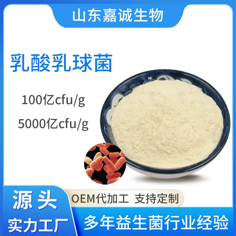 Кормовой сорт Pediococcus lactis корм для животных добавлен лиофилизированные пробиотики молочнокислые бактерии 10 миллиардов пробиотический порошок