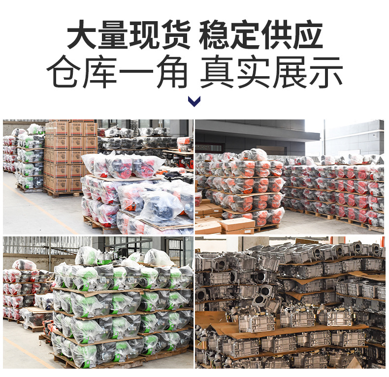 Agricultural Small Gasoline Engine 170F177F188F190F Micro Tiller, Aerator, Trowel Machine, Sprayer, Go-Kart