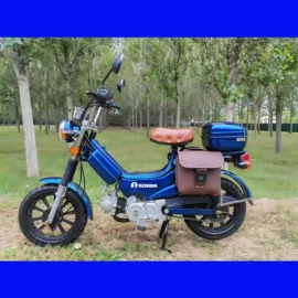 电动自行车;自行车;两轮摩托车