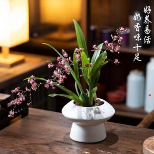 �����m��������ɫ�͏d�辰��������ˮ�����m���ļ����B�����ֱ�l