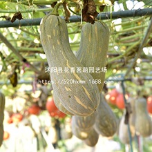 �۱����Ϲ���������л�����Ϲ��ֵ���ϸ���ͥ��̨�ļ���԰������