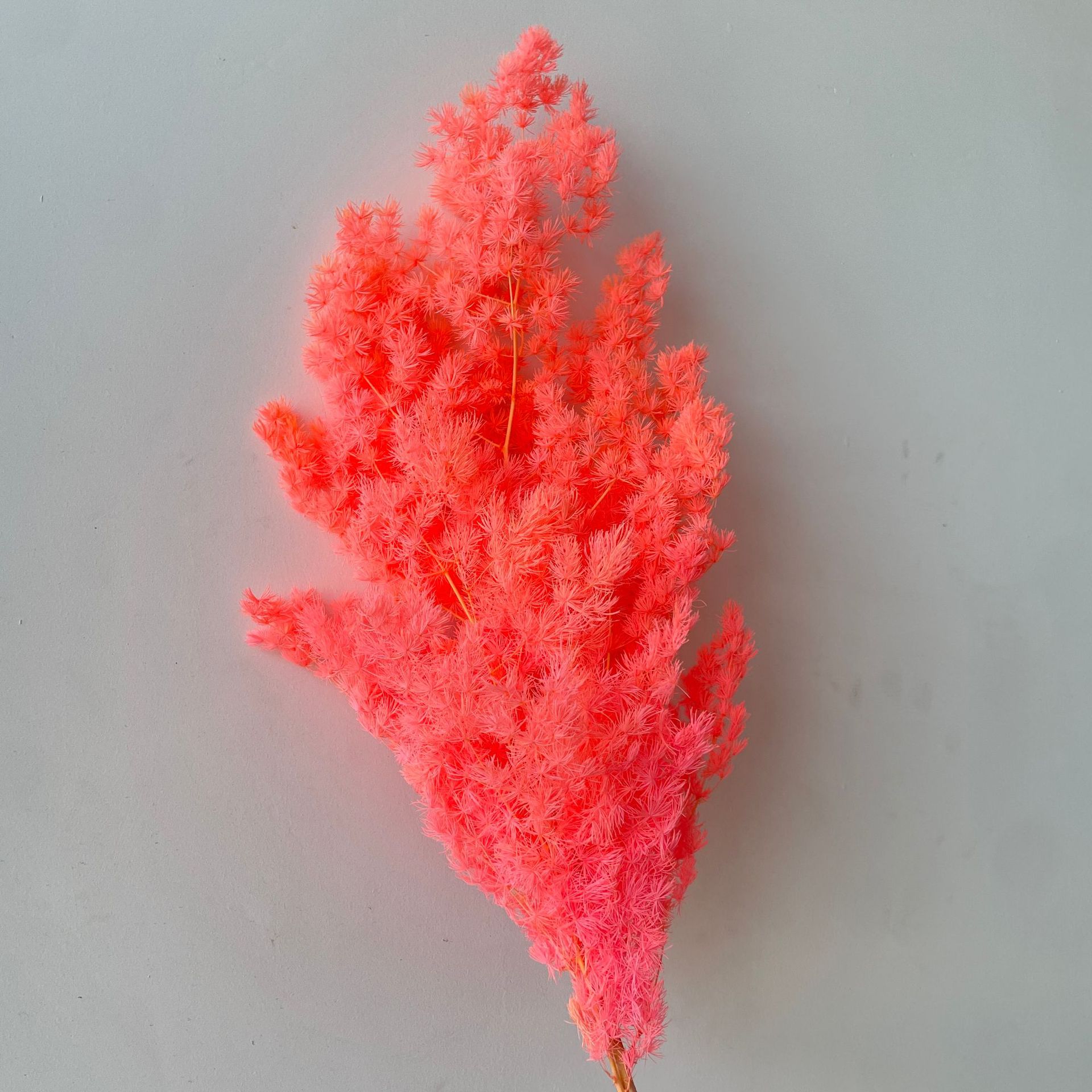 Deep bright pink