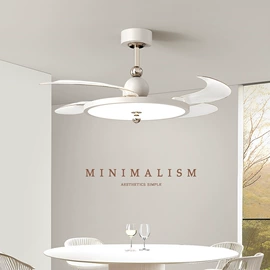 吸顶灯;吊灯;风扇灯