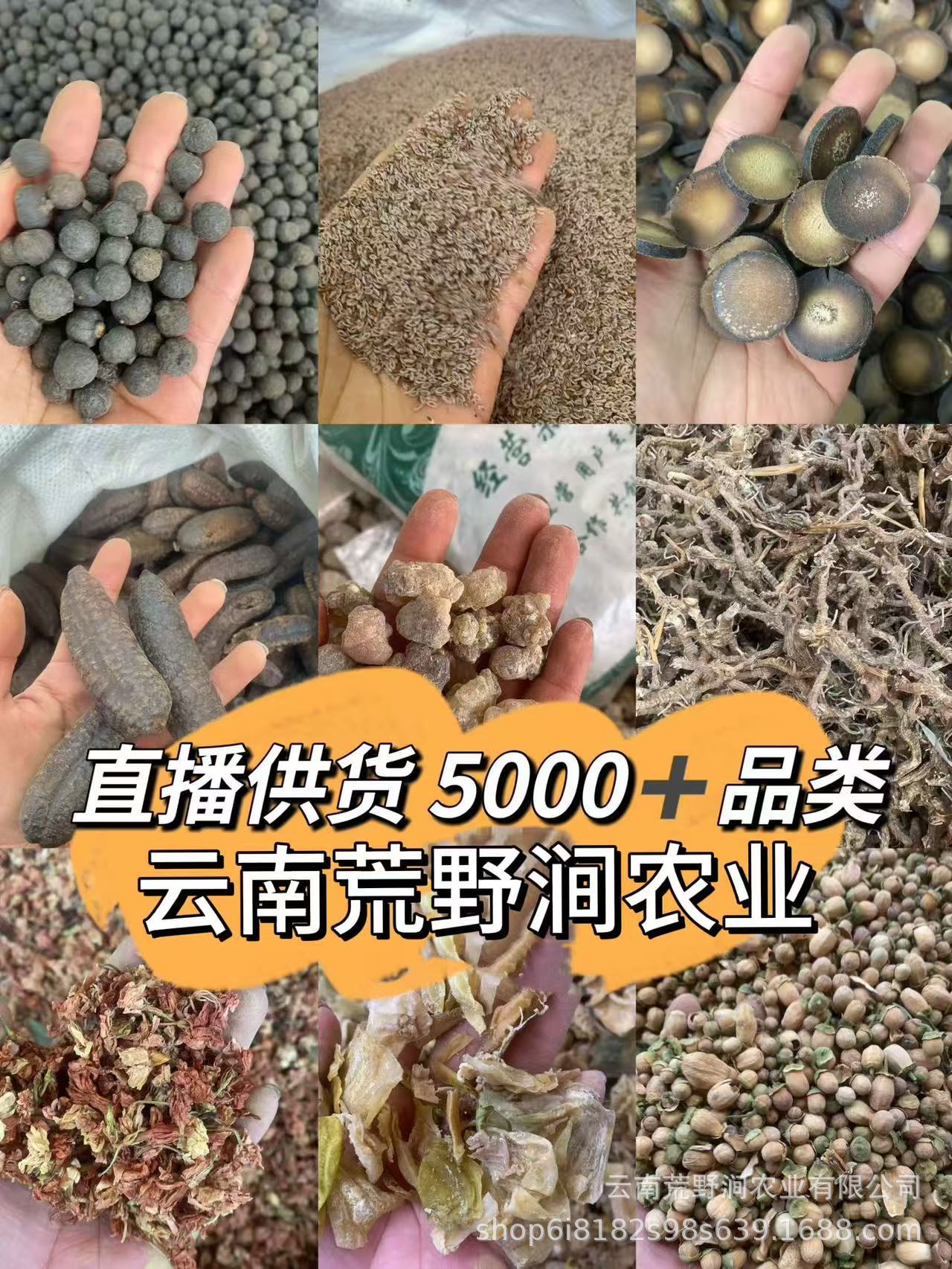 Dried Morel Mushrooms Yang Du Jun Morchella Gift Box Wild Yunnan Gourmet Culinary Fungi Holiday Gift Set preparation