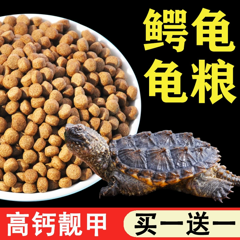 Крокодиловая черепаха корм для бразильской черепахи кальциевая добавка корм сухие креветки черепаха половина воды черепаха Универсальный Открытый корм для юных черепах маленький корм для черепах