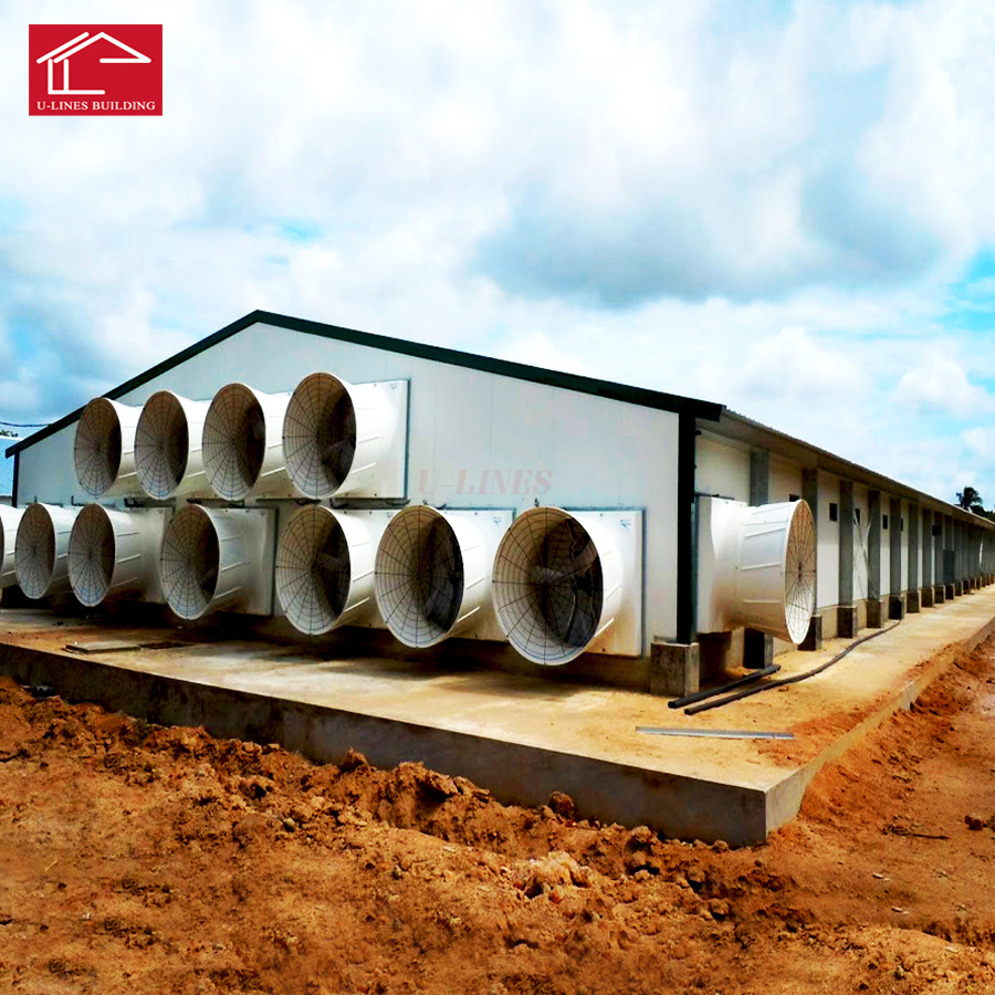 钢结构鸡舍建造  轻钢构笼养平养鸡舍 蛋鸡肉鸡全自动化设备养殖