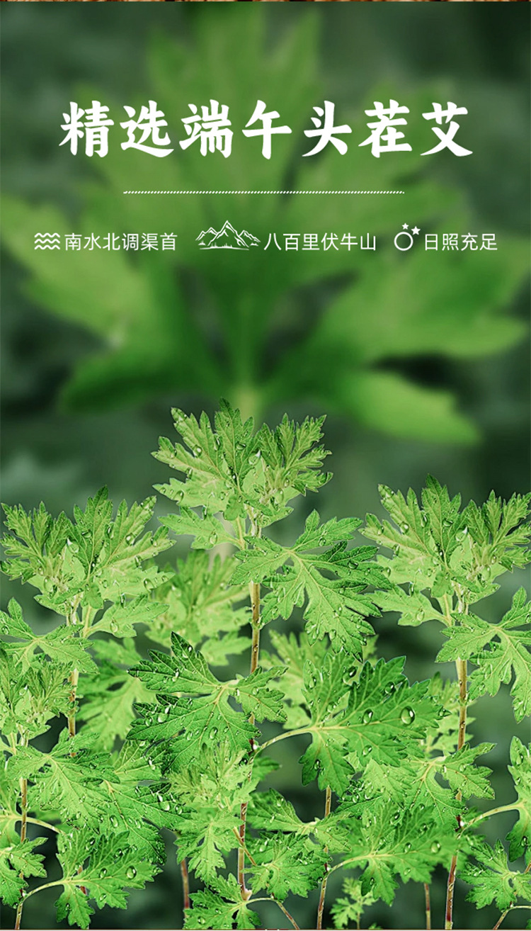 Moxa Stick 5-Year Aged Mugwort Ai Tiao 7x20cm Handheld Moxibustion Roll for Whole Body Use quality and texture