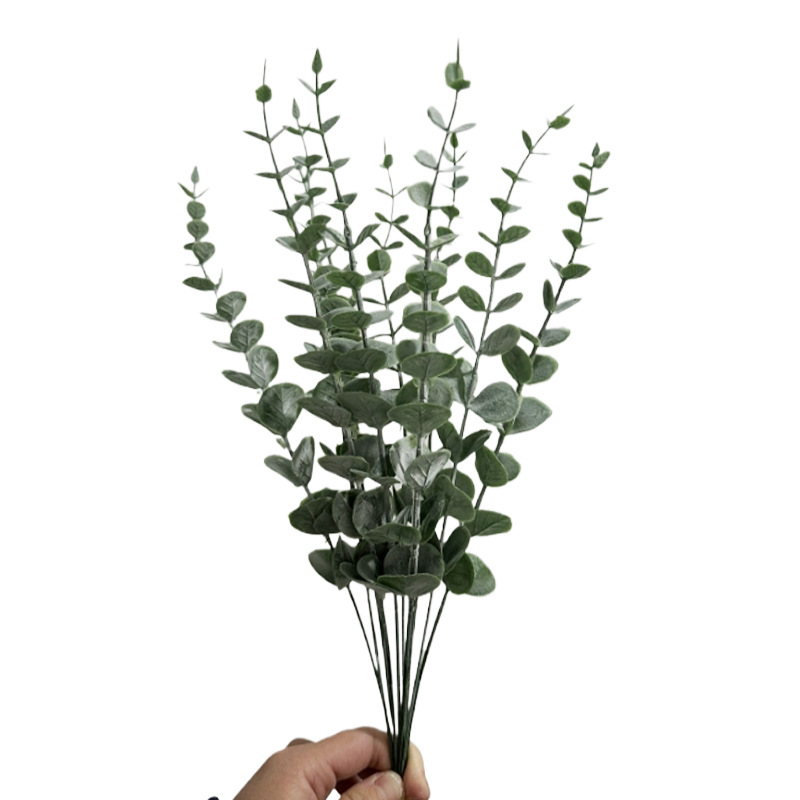 유칼립투스 그레이 그린