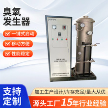 大型臭氧发生器 废气处理臭氧发生器厂家污水脱硝工业臭氧设备