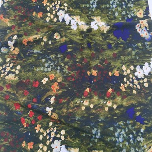 2026�귨ʽ�͹��ͮ��L����Ī�λ��@���V�黨��͸ѩ��ӡ���������l