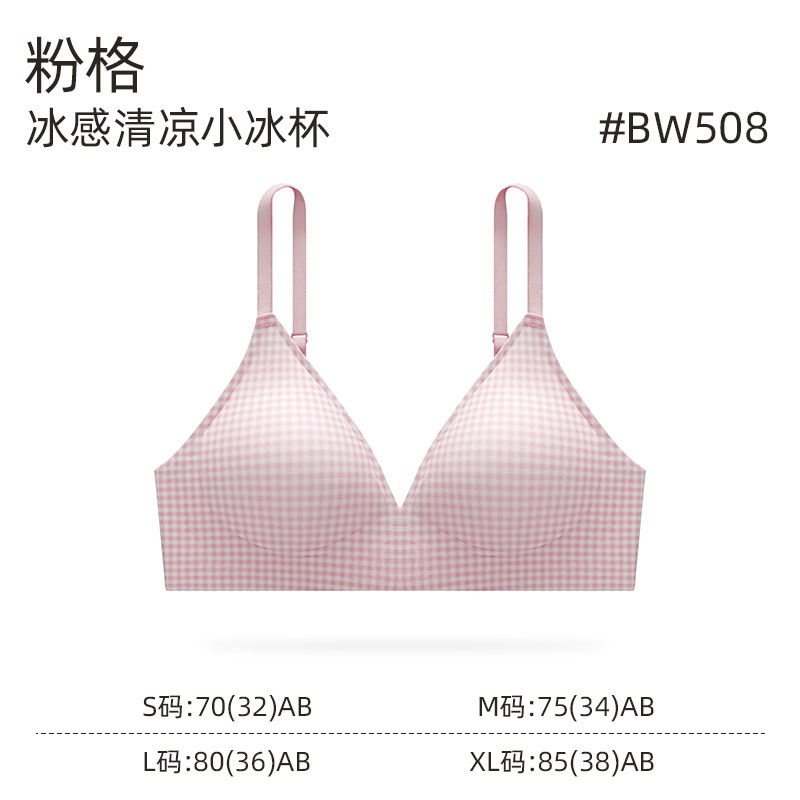 卸売夏の軽くて薄い女性の下着新鮮なハイエンドチェック柄カッププッシュアップ美しいバック三角カップブラセット|undefined