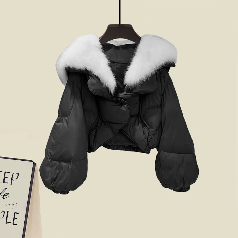 Jacket Image 2