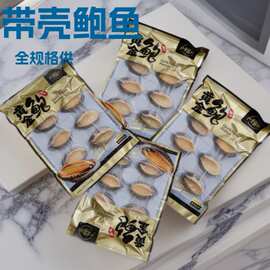 熟冷冻带壳鲍鱼原只飘汤鲍鱼冻真空半壳鲍鱼海鲜批发酒店全规格