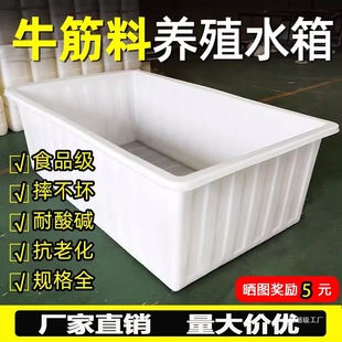 Large Thickened Plastic Water Tank Rectangular Storage Barrel for Aquaculture Fish Farming Shallow Basin