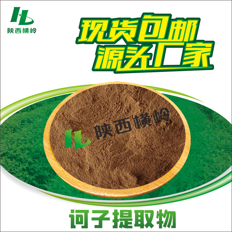 诃子提取物 50:1高比例诃子粉 柯子提取物 随风子萃取 1KG起 包邮