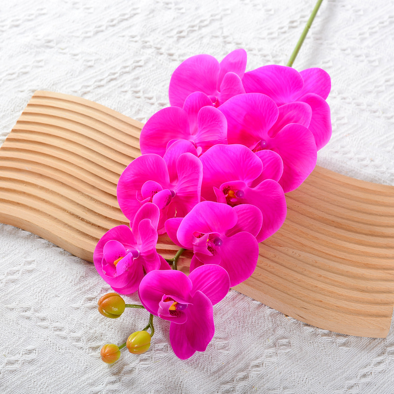 9 헤드 다크 퍼플