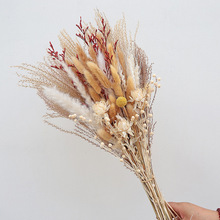 ��Ȼ�ɻ��滨�L�����������[���͏d�b�Ʒ���Wins�W�t���յ���