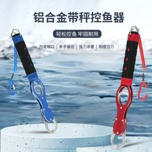 ~Q·Q~A๦Qbȡץ~~Ϳش~b