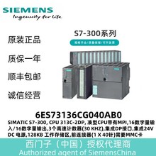 SIMATIC S7-300ǰ�����������ź�ģ�鵯�ɴ���6ES73921BJ000AA0