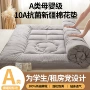新疆双人保暖宿舍褥子