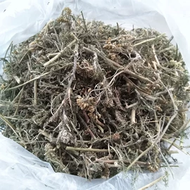 其他园林植物;盆栽;林业副产品